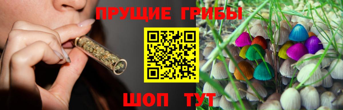 Галлюциногенные грибы Magic Shrooms Зеленогорск